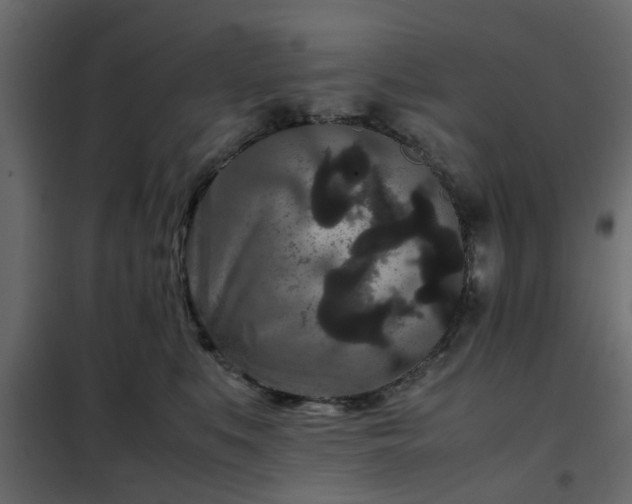 X0000102340519200808081134