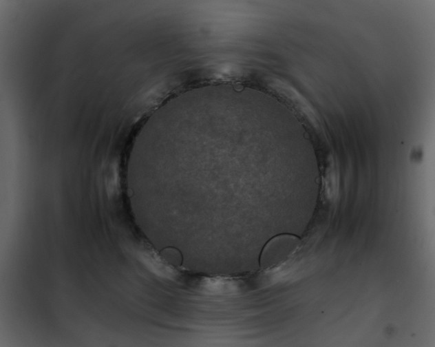 X0000102340520200808081134