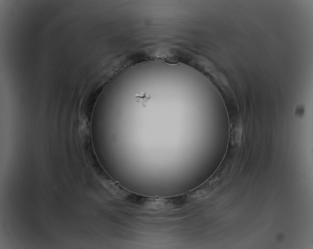 X0000102340521200808081134