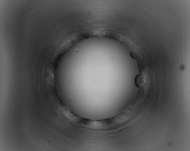 X0000102340522200808081134