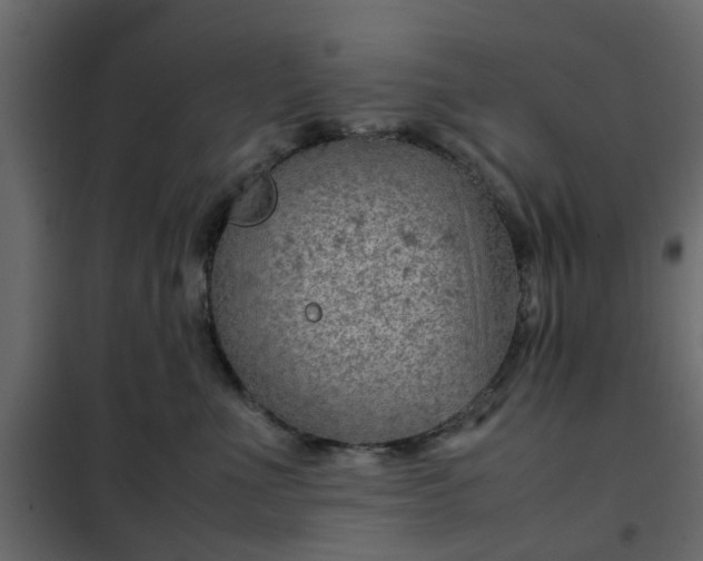 X0000102340523200808081134