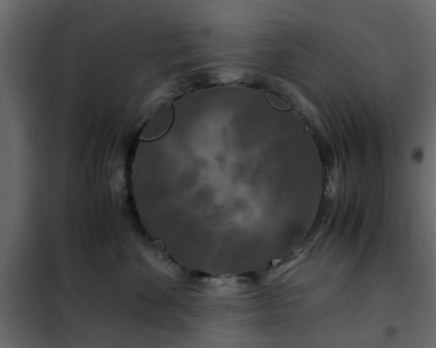 X0000102340524200808081134