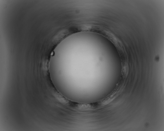 X0000102340525200808081134