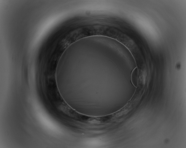 X0000102340526200808081134