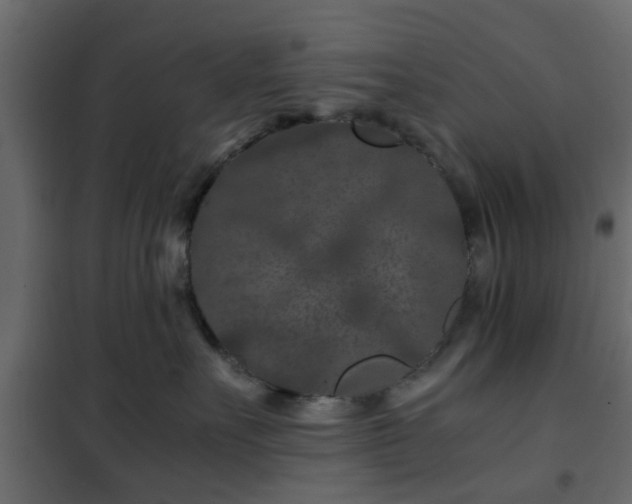 X0000102340527200808081134