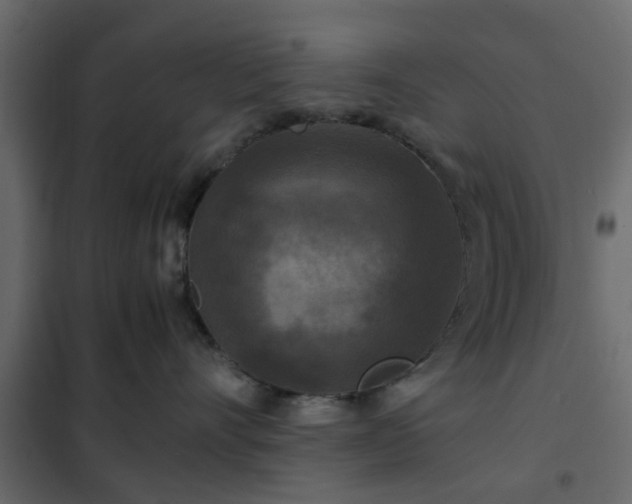 X0000102340528200808081134