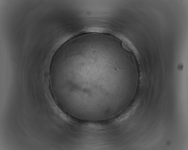 X0000102340529200808081133