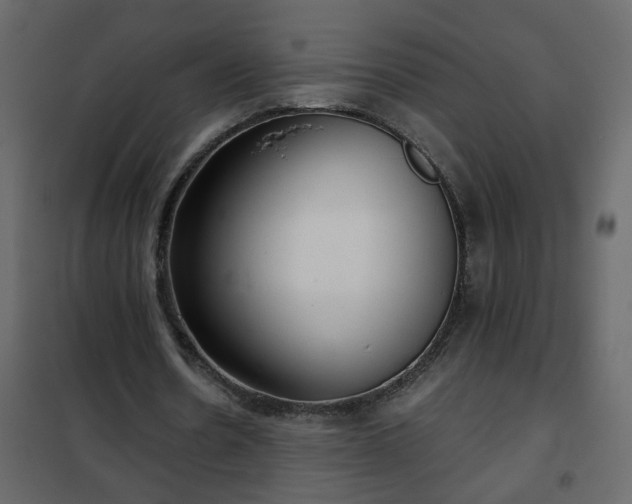 X0000102340530200808081133