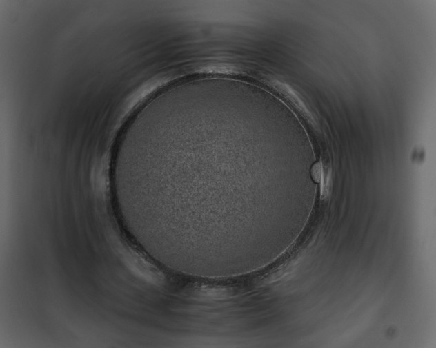 X0000102340531200808081133