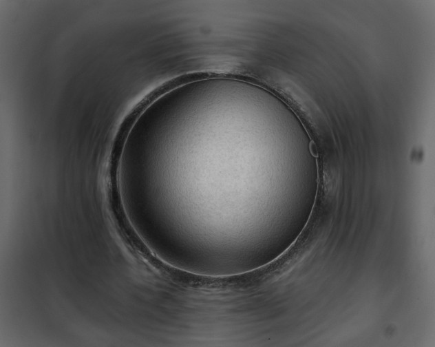 X0000102340532200808081133