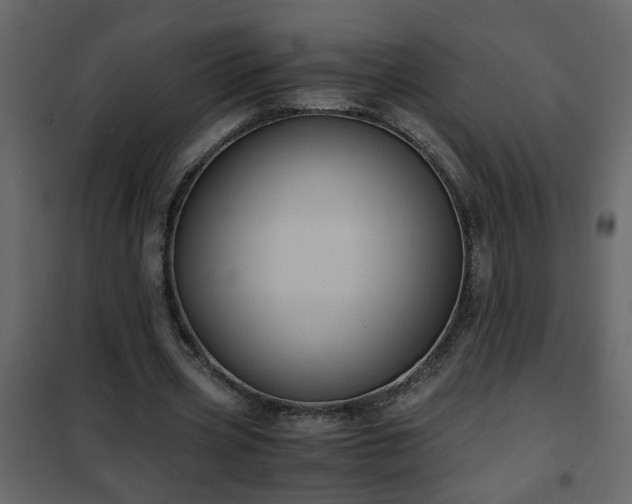 X0000102340533200808081133