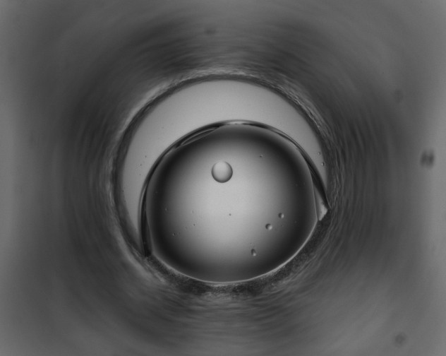 X0000102340534200808081133