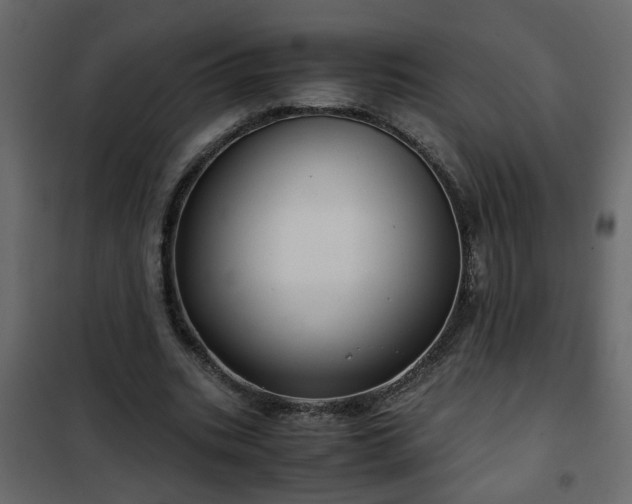 X0000102340535200808081133