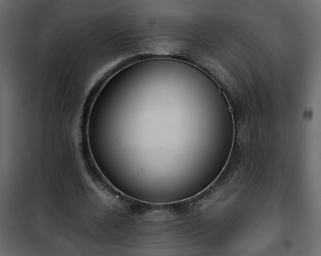 X0000102340536200808081133