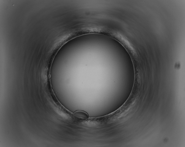 X0000102340537200808081133