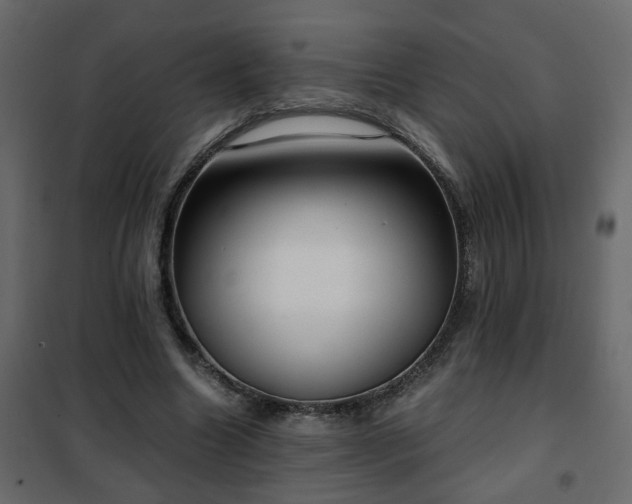 X0000102340538200808081133