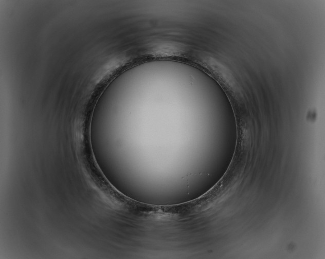 X0000102340539200808081133