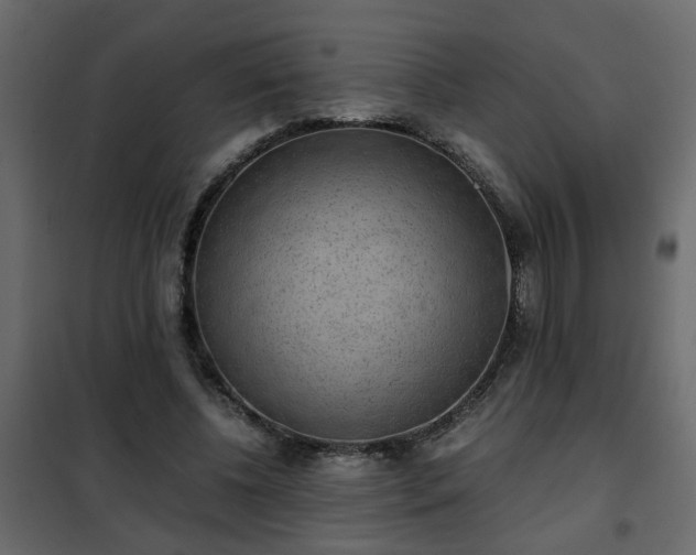 X0000102340540200808081133