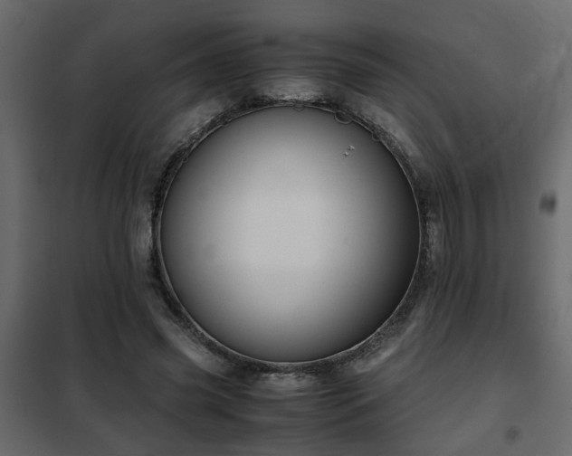 X0000102340541200808081133