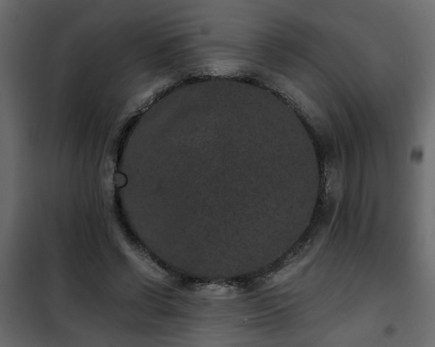 X0000102340542200808081133