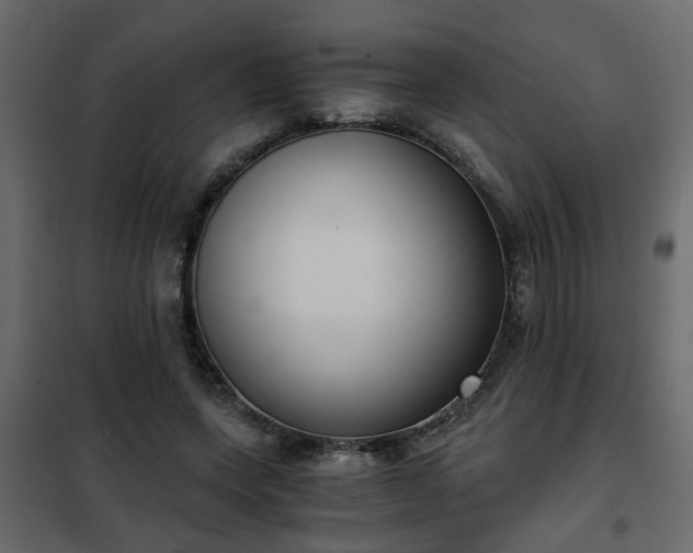 X0000102340543200808081133