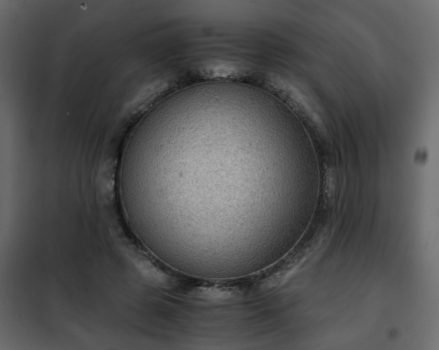 X0000102340545200808081133