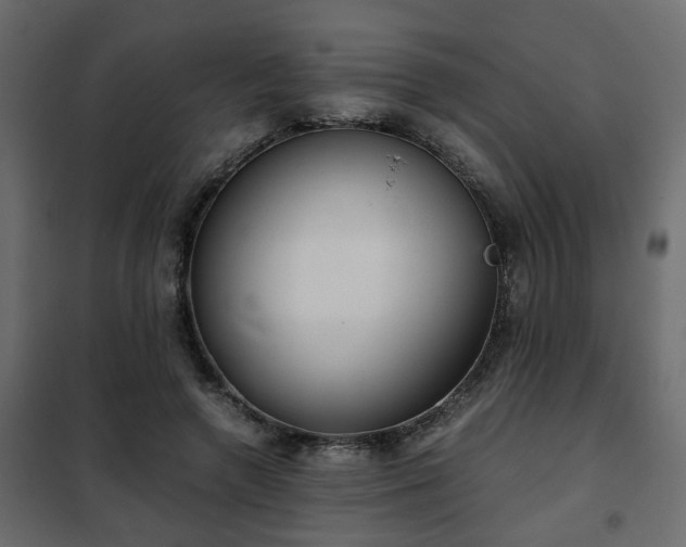 X0000102340546200808081133