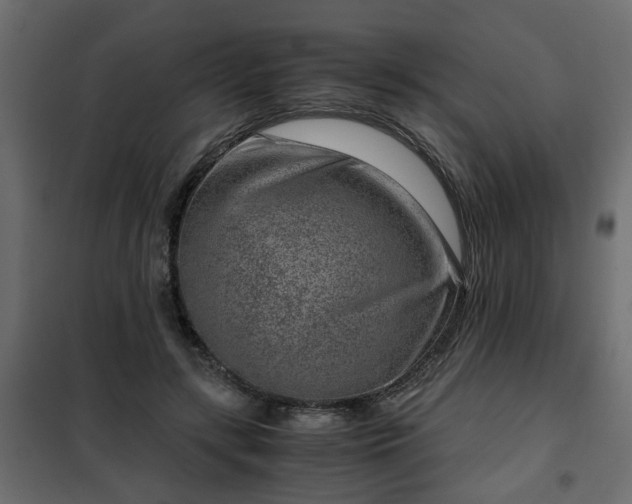 X0000102340547200808081133