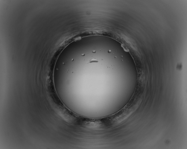 X0000102340548200808081133