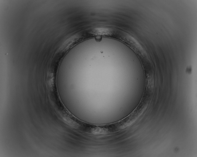 X0000102340549200808081133