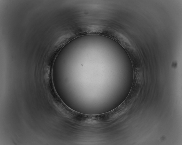 X0000102340550200808081133