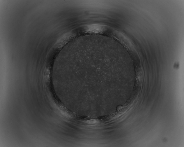 X0000102340551200808081133