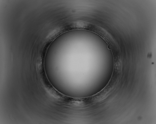 X0000102340552200808081133