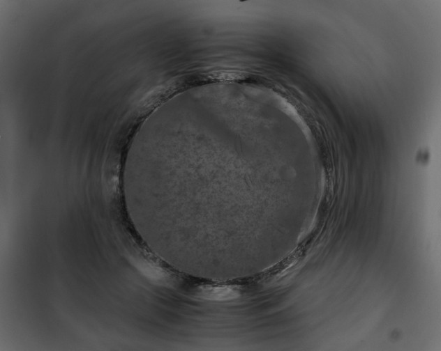 X0000102340553200808081133