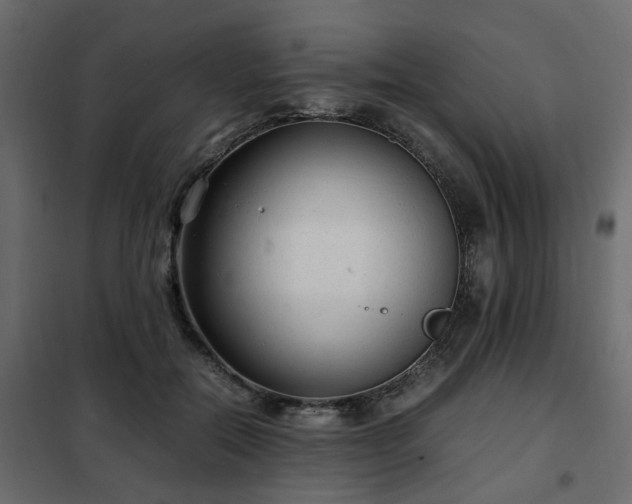 X0000102340554200808081133