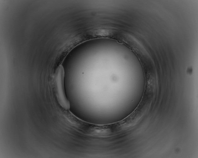 X0000102340555200808081133