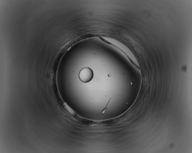 X0000102340556200808081133