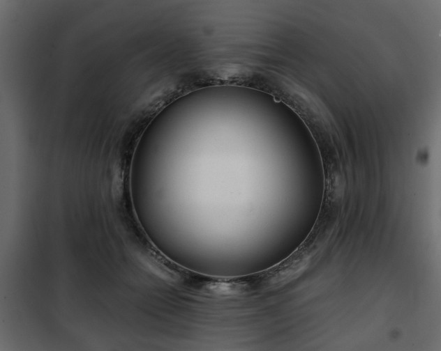 X0000102340558200808081133