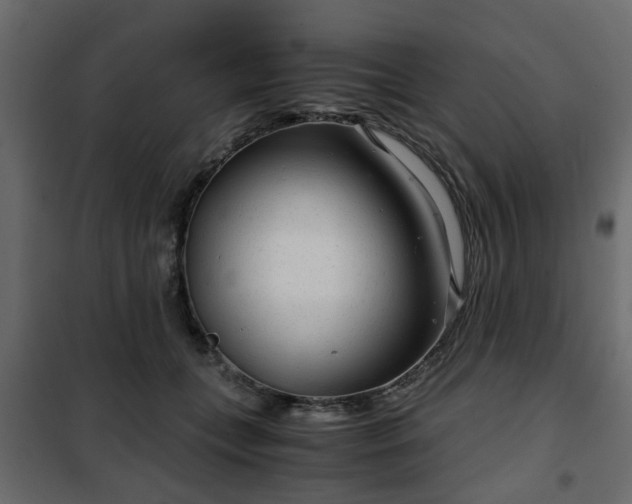 X0000102340559200808081133