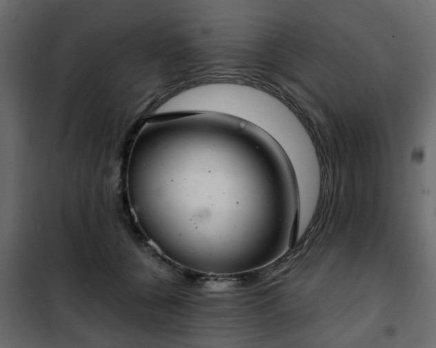 X0000102340560200808081133