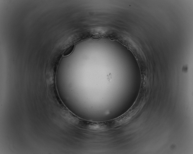 X0000102340561200808081133