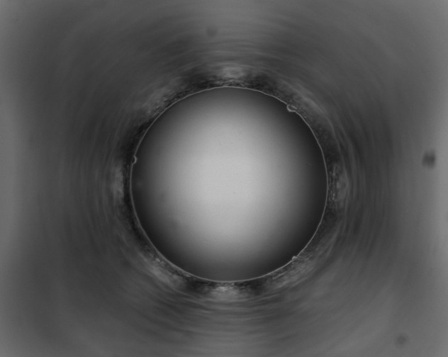 X0000102340562200808081133