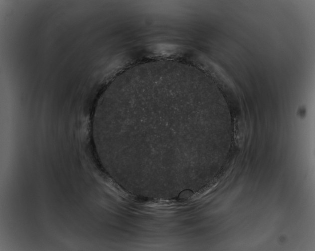 X0000102340563200808081133