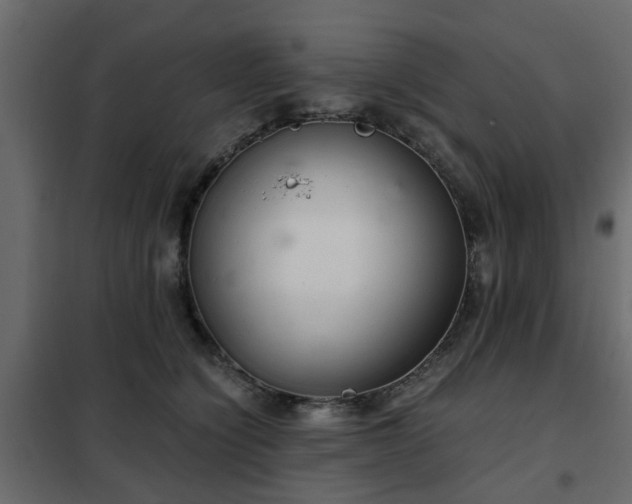 X0000102340564200808081133