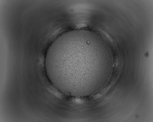 X0000102340565200808081133