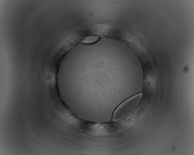 X0000102340566200808081133