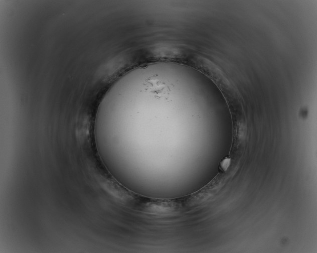 X0000102340567200808081133