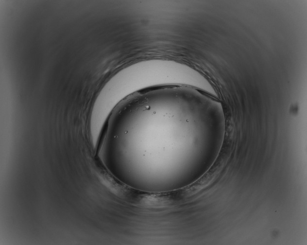 X0000102340568200808081133