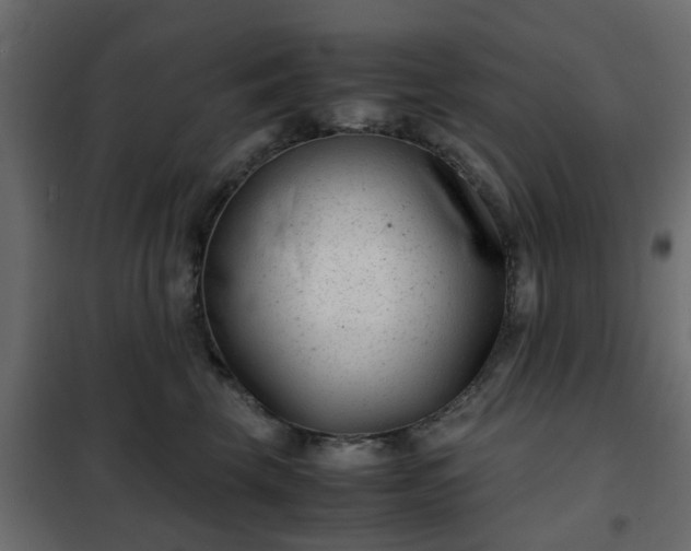 X0000102340569200808081133