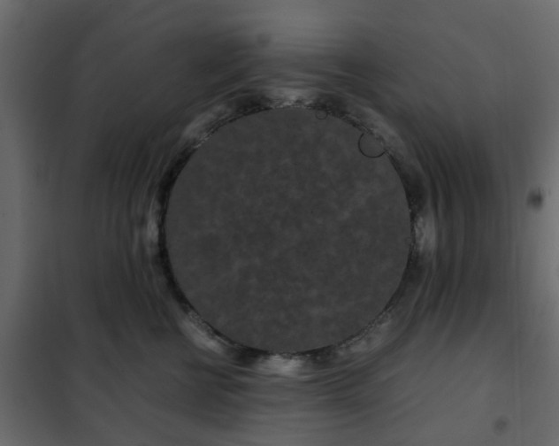 X0000102340570200808081134